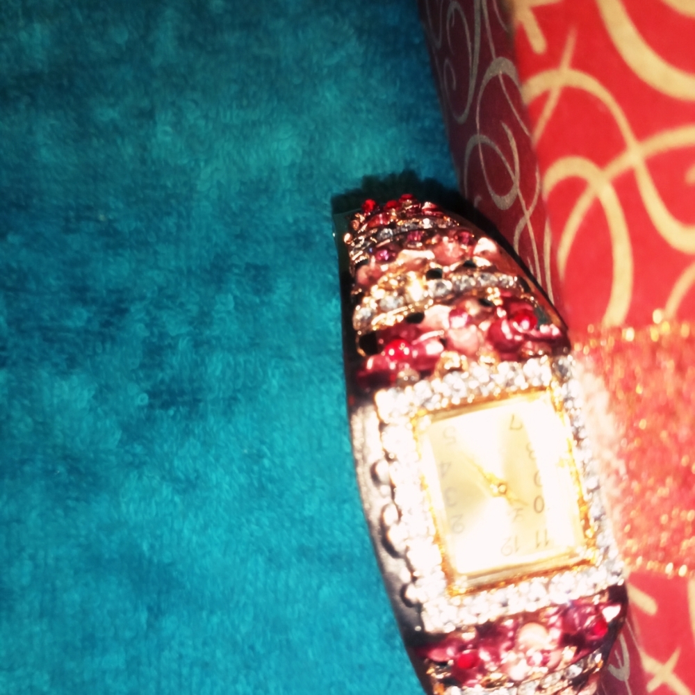Watch bracelet